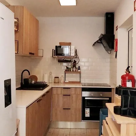 Capybara At The アパート *