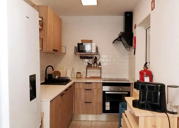 Capybara At The Lejlighed *