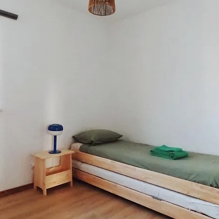 Capybara At The Apartamento