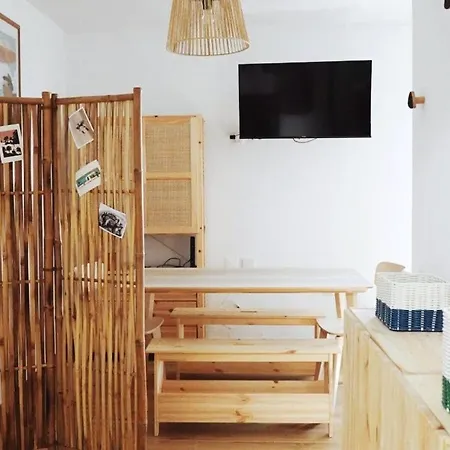 Capybara At The Apartamento Costa da Caparica