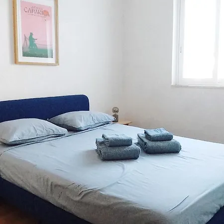 Capybara At The Apartamento *